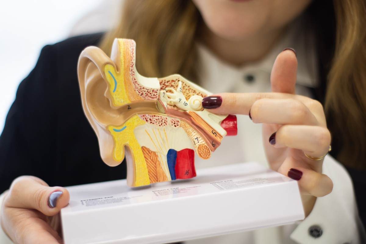 miniatura de sistema auditivo_labirinto ouvido interno otoneurologico